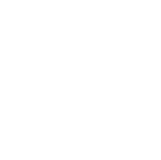 Brian Seth Hurst